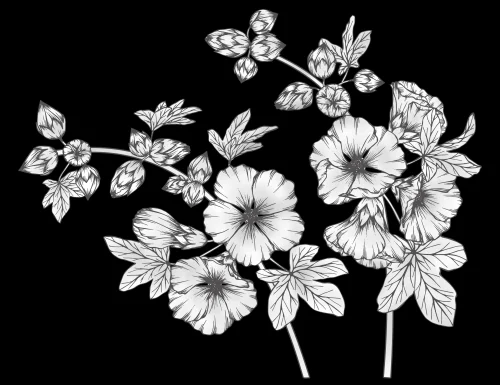 Цветы 054 (мальва)