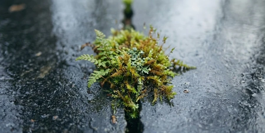 razrushenie-pamyatnika-mhom